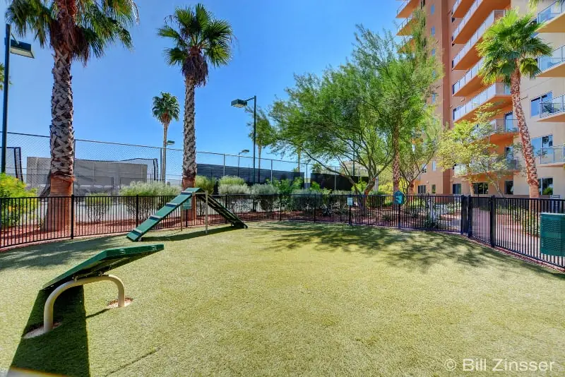 One Las Vegas Pet Park with artificial turf and play equipment